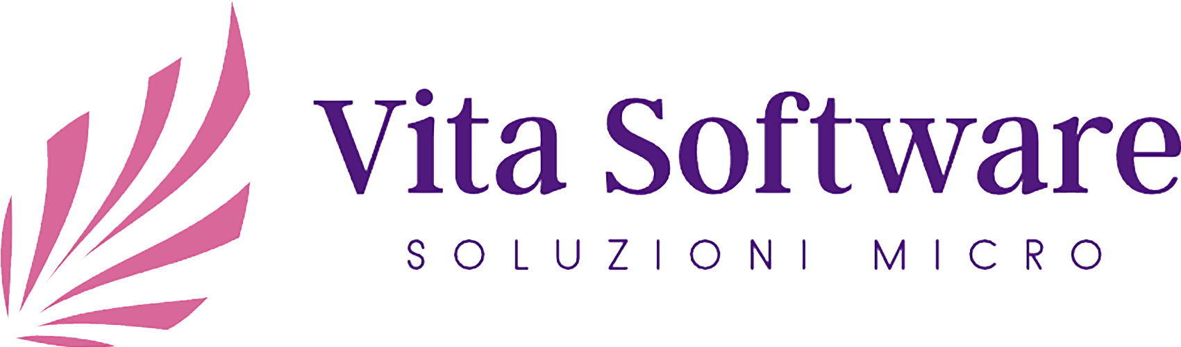 Vita Software